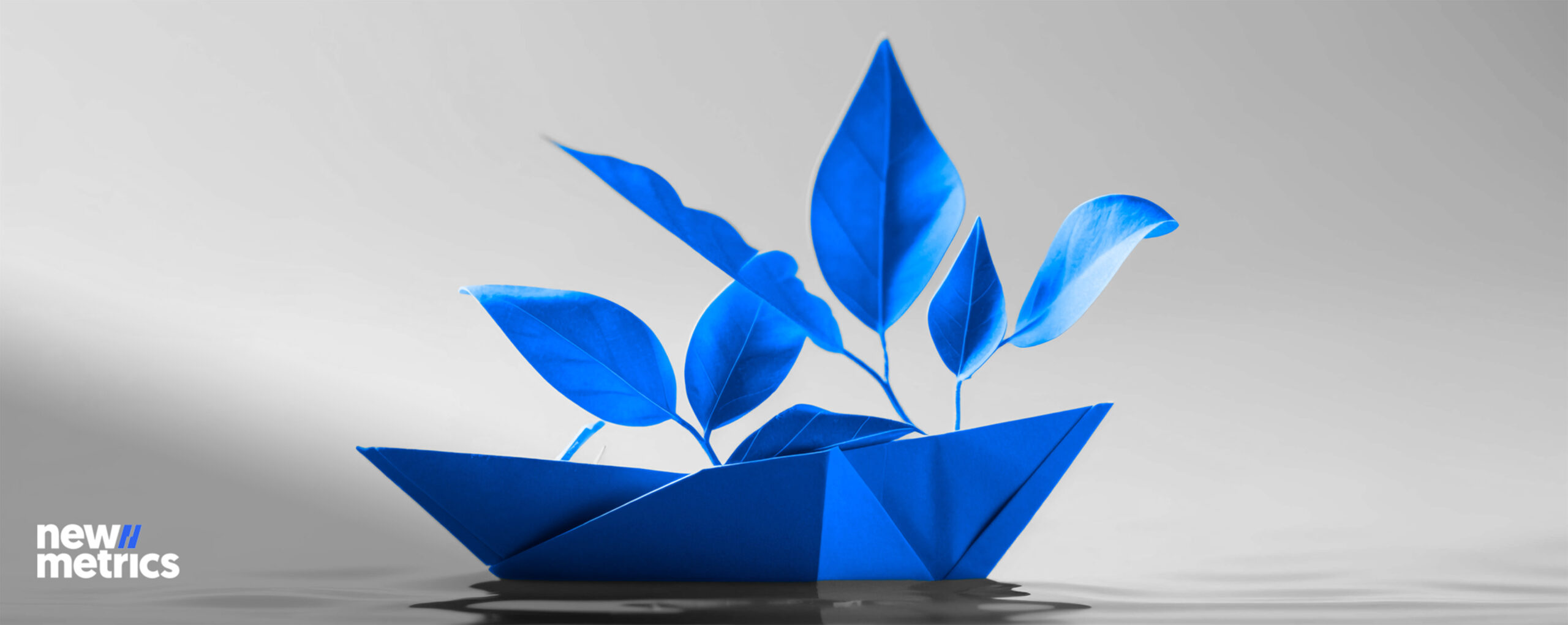 The Trust Gap: Why Institutions Will Win or Lose in 2026 on Credibility, Not Capability